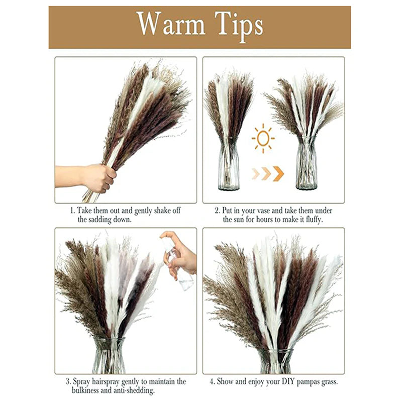 Dried Natural Pampas Grass – 45cm Tall Beige Plumes for Home Décor, Boho Weddings & DIY Arrangements
